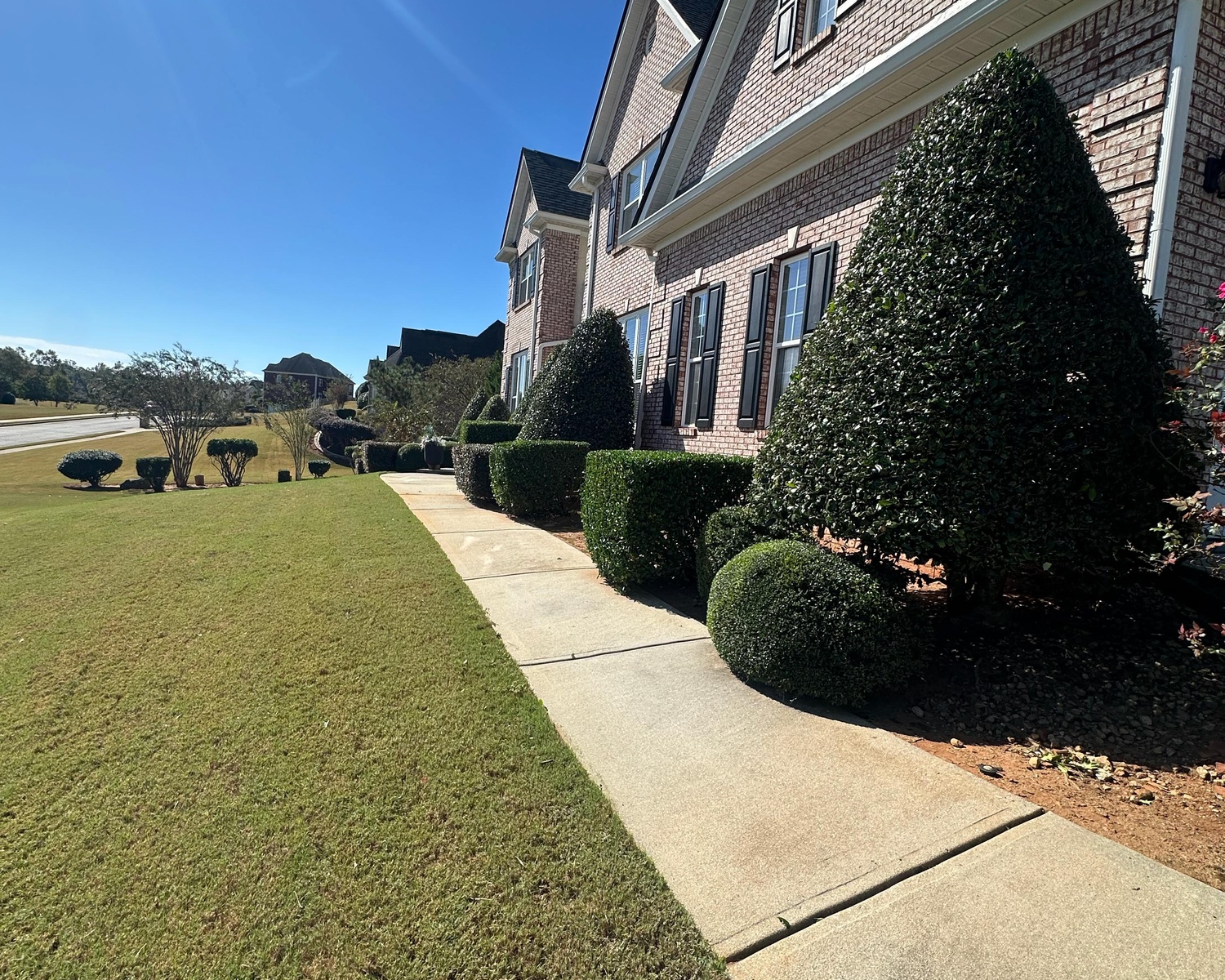 LANDSCAPING services